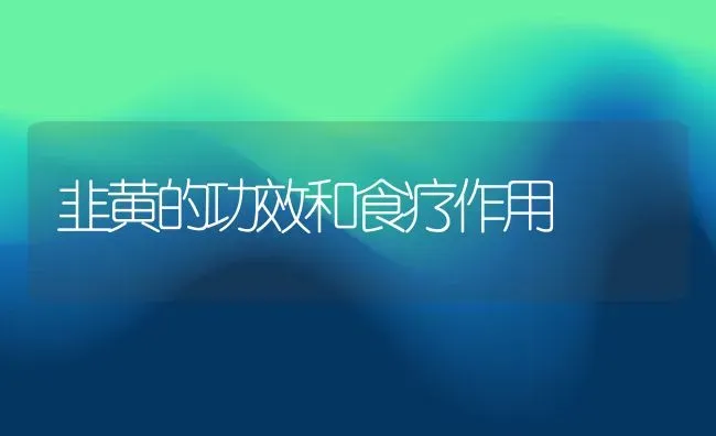 韭黄的功效和食疗作用 | 养殖资料投稿