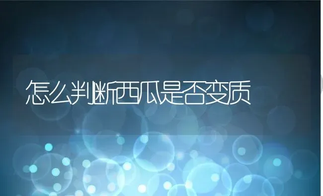 怎么判断西瓜是否变质 | 养殖资料投稿