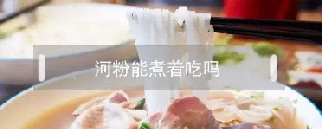 河粉能煮着吃吗