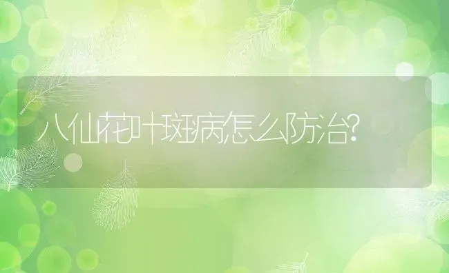 八仙花叶斑病怎么防治? | 养殖资讯