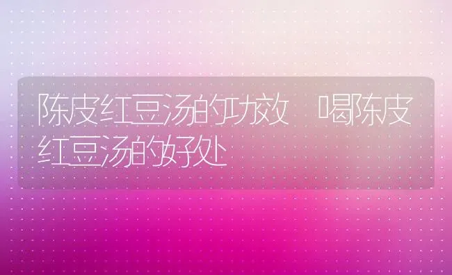 陈皮红豆汤的功效 喝陈皮红豆汤的好处 | 养殖资料投稿