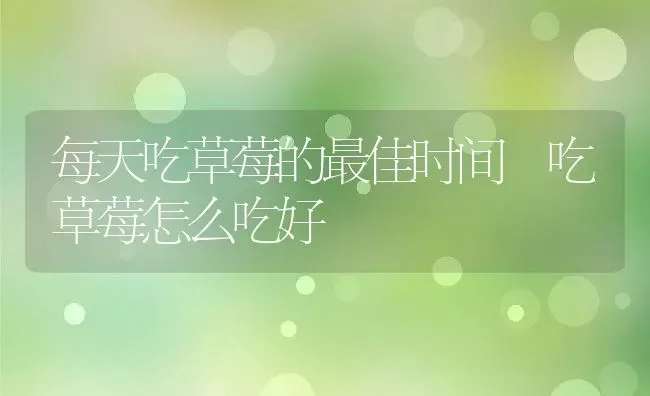 珍珠粉怎么吃效果最好 珍珠粉口服怎么吃法 | 养殖资料投稿