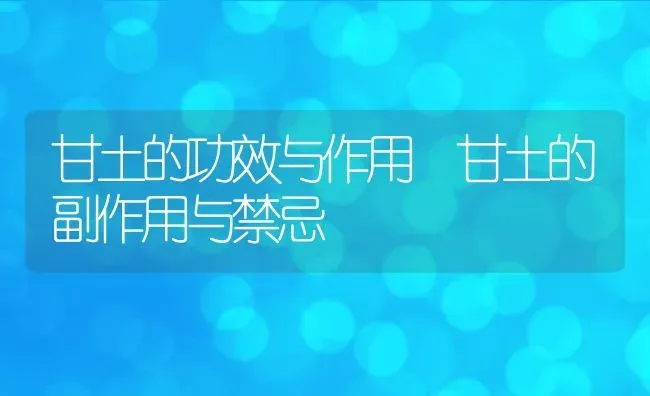 冰片性味归经 冰片功效与作用 | 养殖资料投稿