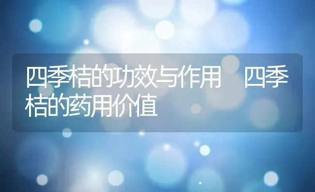 四季桔的功效与作用 四季桔的药用价值 | 养殖资料投稿