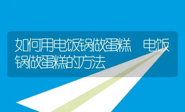 如何用电饭锅做蛋糕 电饭锅做蛋糕的方法 | 养殖资料投稿