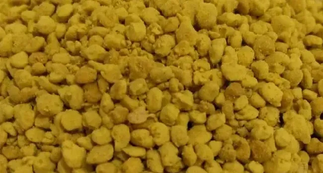 油菜花粉是什么