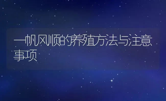 一帆风顺的养殖方法与注意事项 | 养殖资料投稿