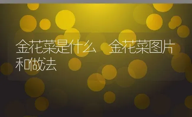 金花菜是什么 金花菜图片和做法 | 养殖资料投稿