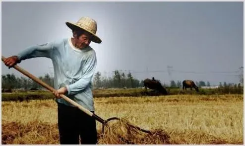 农民收入可能减少！未来农民种地将面临的几个问题！ | 养殖赚钱项目