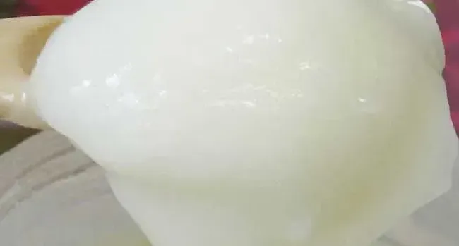假椴树蜜是用什么做的？