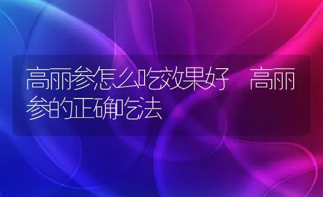 高丽参怎么吃效果好 高丽参的正确吃法 | 养殖资料投稿