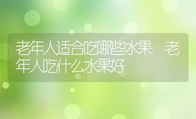 老年人适合吃哪些水果 老年人吃什么水果好 | 养殖资料投稿