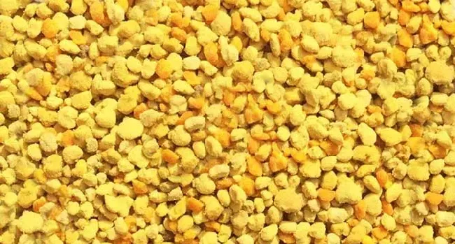 油菜花粉是什么