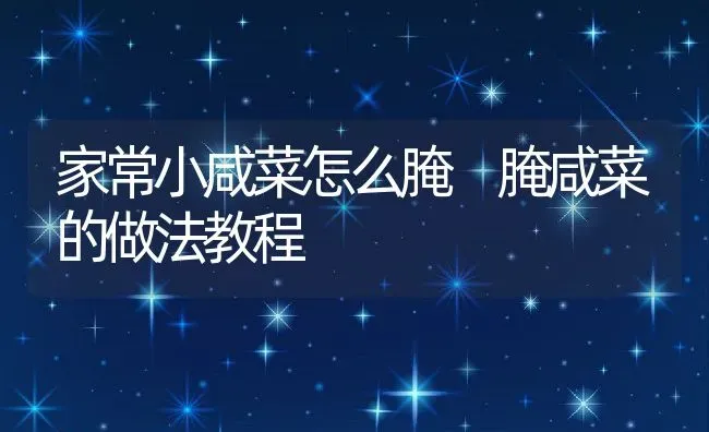 家常小咸菜怎么腌 腌咸菜的做法教程 | 养殖资料投稿