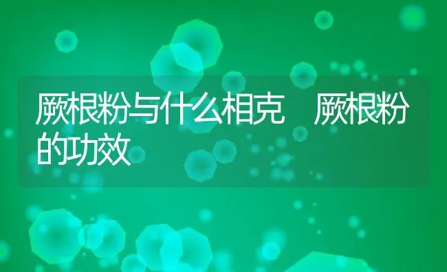 厥根粉与什么相克 厥根粉的功效 | 养殖资料投稿