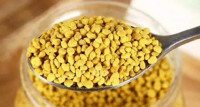花粉的功效与作用及禁忌人群