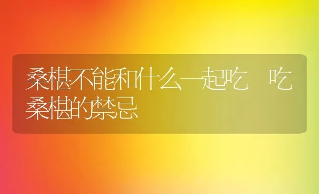 桑椹不能和什么一起吃 吃桑椹的禁忌 | 养殖资料投稿