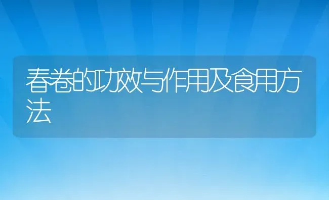 春卷的功效与作用及食用方法 | 养殖资料投稿