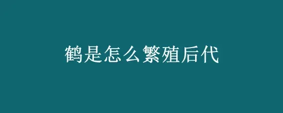 鹤是怎么繁殖后代