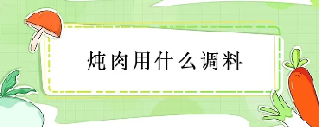 炖肉用什么调料