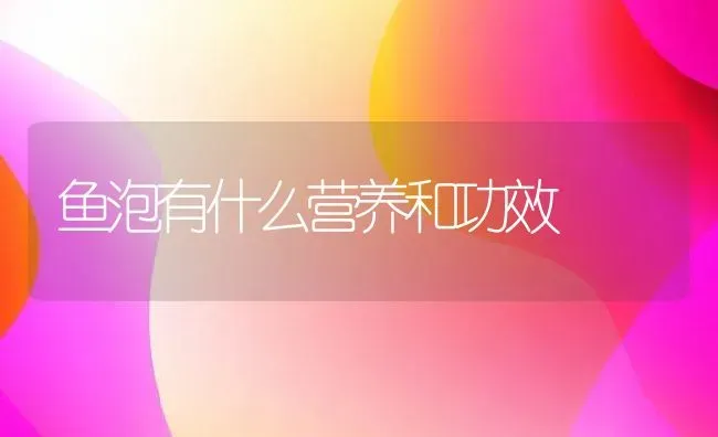 鱼泡有什么营养和功效 | 养殖资料投稿