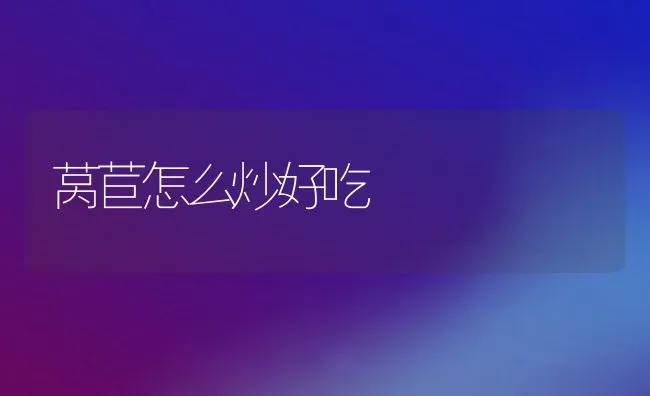 莴苣怎么炒好吃 | 养殖资料投稿