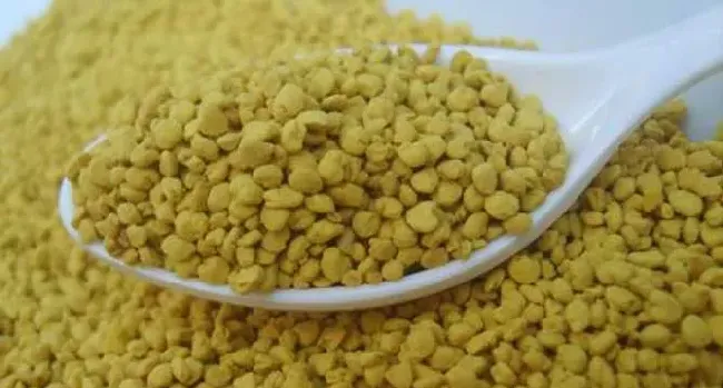 油菜花粉是什么