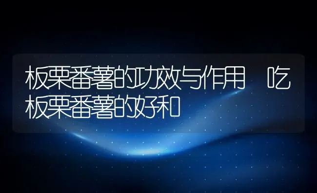 板栗番薯的功效与作用 吃板栗番薯的好和 | 养殖资料投稿