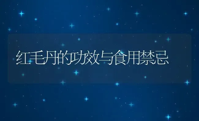 红毛丹的功效与食用禁忌 | 养殖资料投稿