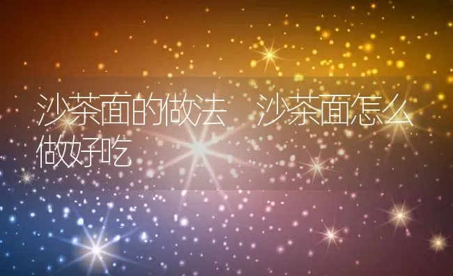 沙茶面的做法 沙茶面怎么做好吃 | 养殖资料投稿