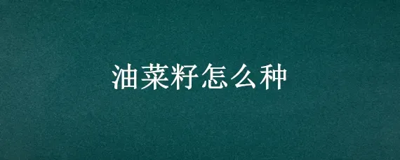 油菜籽怎么种