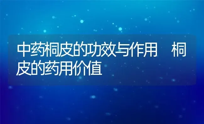 中药桐皮的功效与作用 桐皮的药用价值 | 养殖资料投稿