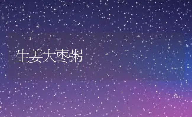生姜大枣粥 | 养殖资讯