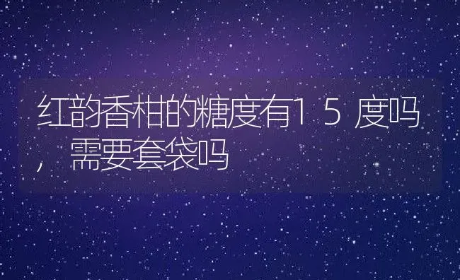 红韵香柑的糖度有15度吗,需要套袋吗 | 养殖资讯