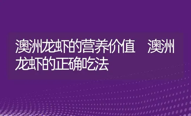 澳洲龙虾的营养价值 澳洲龙虾的正确吃法 | 养殖资料投稿