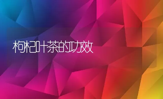 枸杞叶茶的功效 | 养殖资料投稿