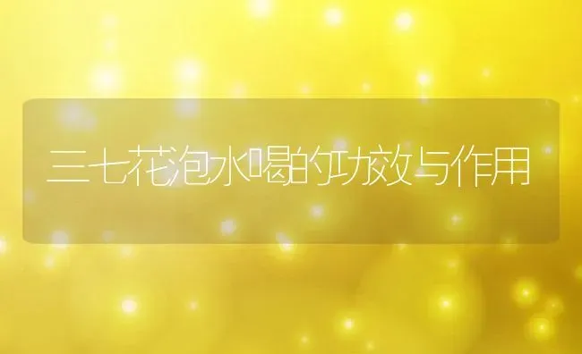 三七花泡水喝的功效与作用 | 养殖资料投稿