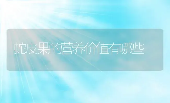 蛇皮果的营养价值有哪些 | 养殖资料投稿