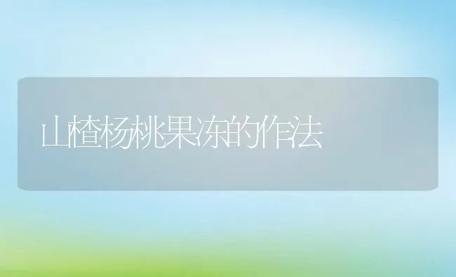 山楂杨桃果冻的作法 | 养殖资料投稿