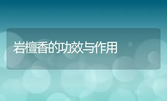 岩檀香的功效与作用 | 养殖资料投稿