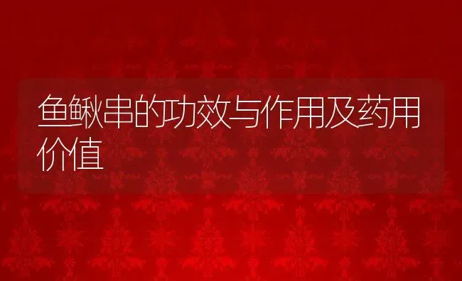鱼鳅串的功效与作用及药用价值 | 养殖资料投稿