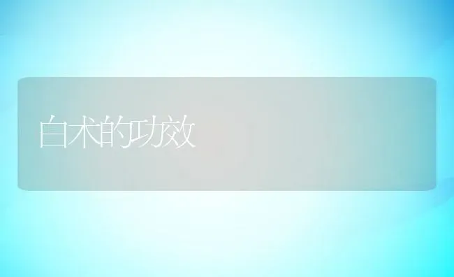 白术的功效 | 养殖资料投稿