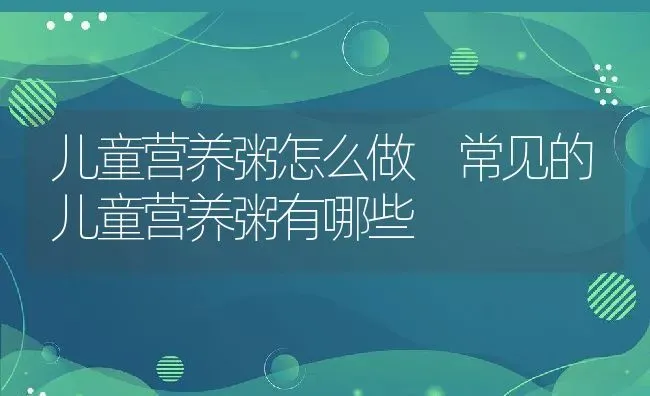 儿童营养粥怎么做 常见的儿童营养粥有哪些 | 养殖资讯