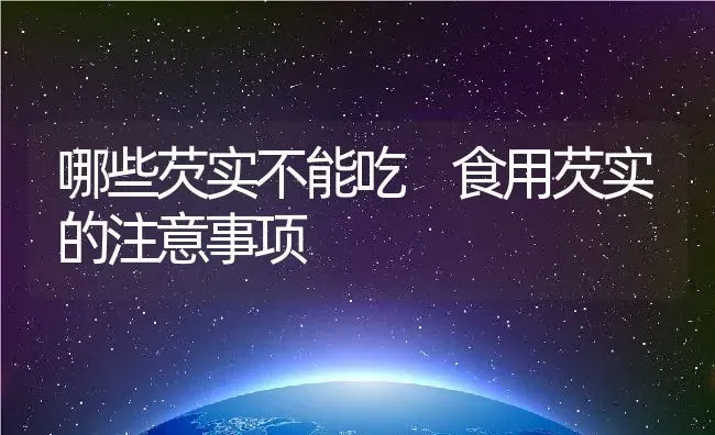 哪些芡实不能吃 食用芡实的注意事项 | 养殖资料投稿