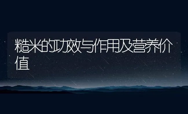 糙米的功效与作用及营养价值 | 养殖资讯