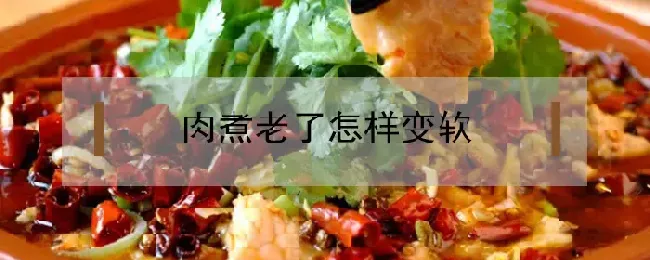 肉煮老了怎样变软