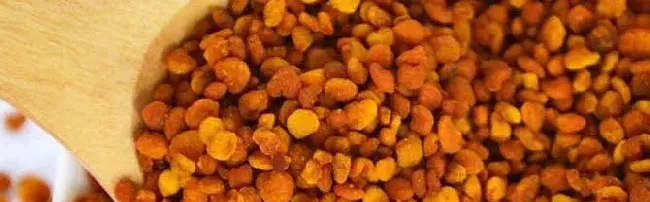 茶花粉是什么东西？
