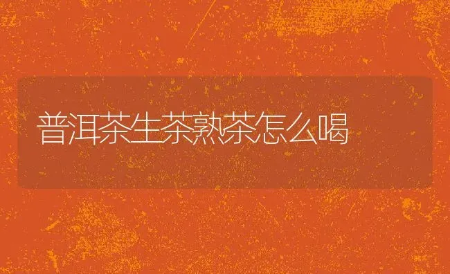 普洱茶生茶熟茶怎么喝 | 养殖资料投稿