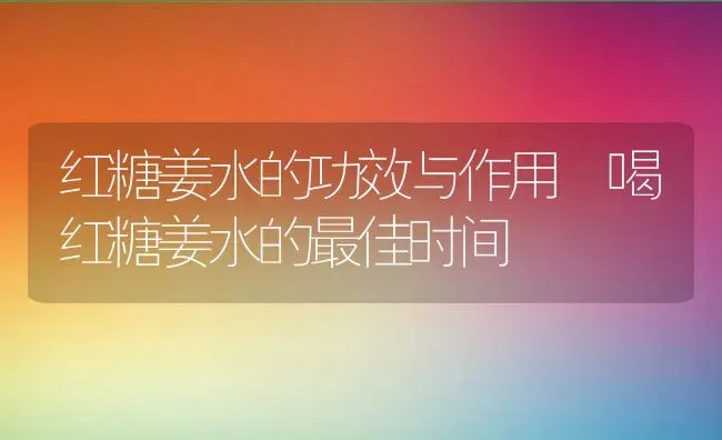 红糖姜水的功效与作用 喝红糖姜水的最佳时间 | 养殖资料投稿