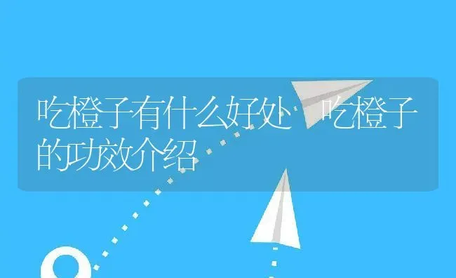 吃橙子有什么好处 吃橙子的功效介绍 | 养殖资料投稿